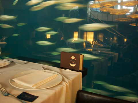 The underwater restaurant ‘Under’ in Norway
