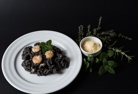 Don't Miss Black Risotto in Your Croatia Yacht Charter Experience