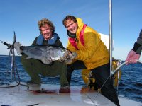 Erfolgreiches Angeln: Ein fast 20 kg schwerer Thunfisch, präsentiert von Andreas und Matthias - zum Vergrößern klicken